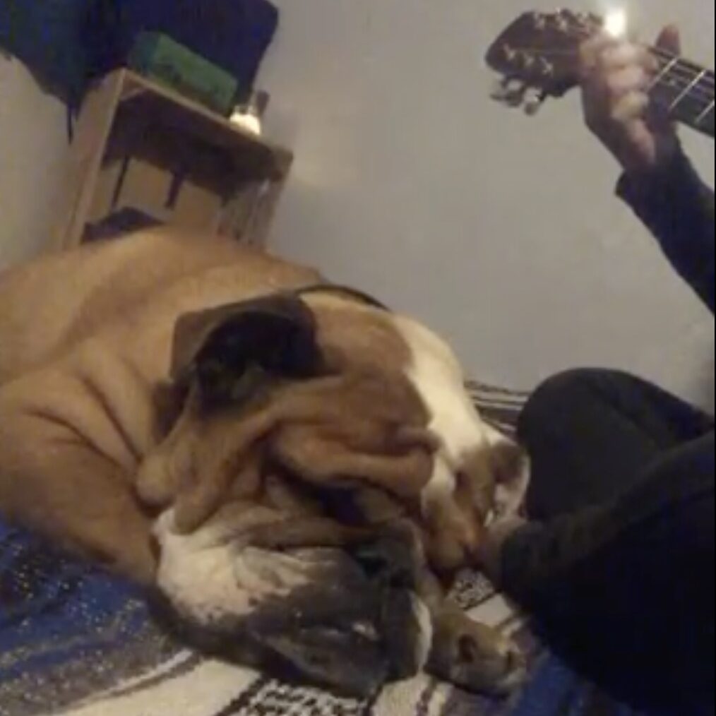 The bulldog Toro sleeps while Maria sings and plays guitar.